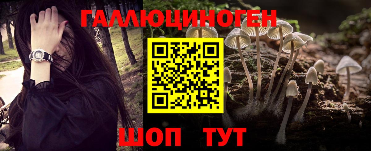 Псилоцибиновые грибы MAGIC MUSHROOMS Азнакаево